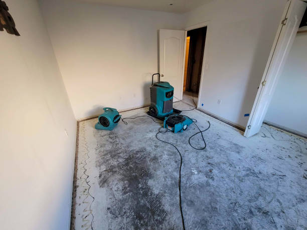 Best Local water damage restoration  in New Iberia, LA