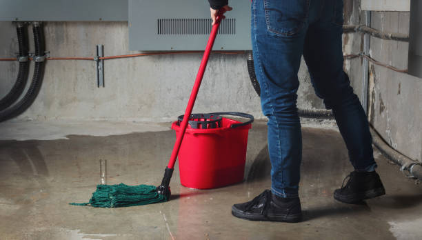 Best Basement water damage restoration  in New Iberia, LA