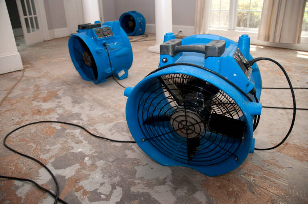 Best 24-hour water damage restoration  in New Iberia, LA