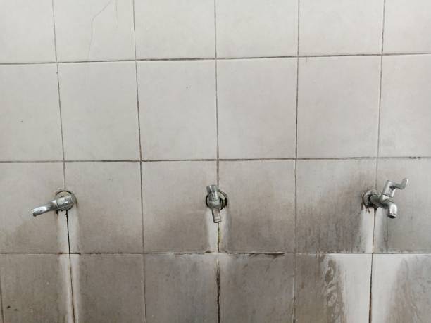 Best Sewage cleanup and water damage restoration  in New Iberia, LA