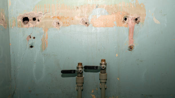 Best Residential water damage restoration  in New Iberia, LA