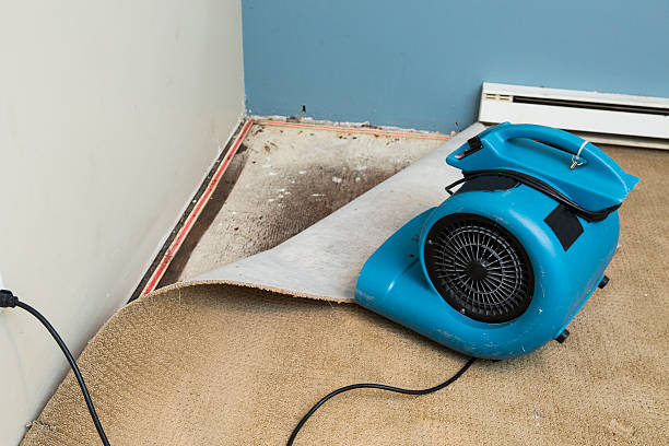 Best Flood restoration services  in New Iberia, LA